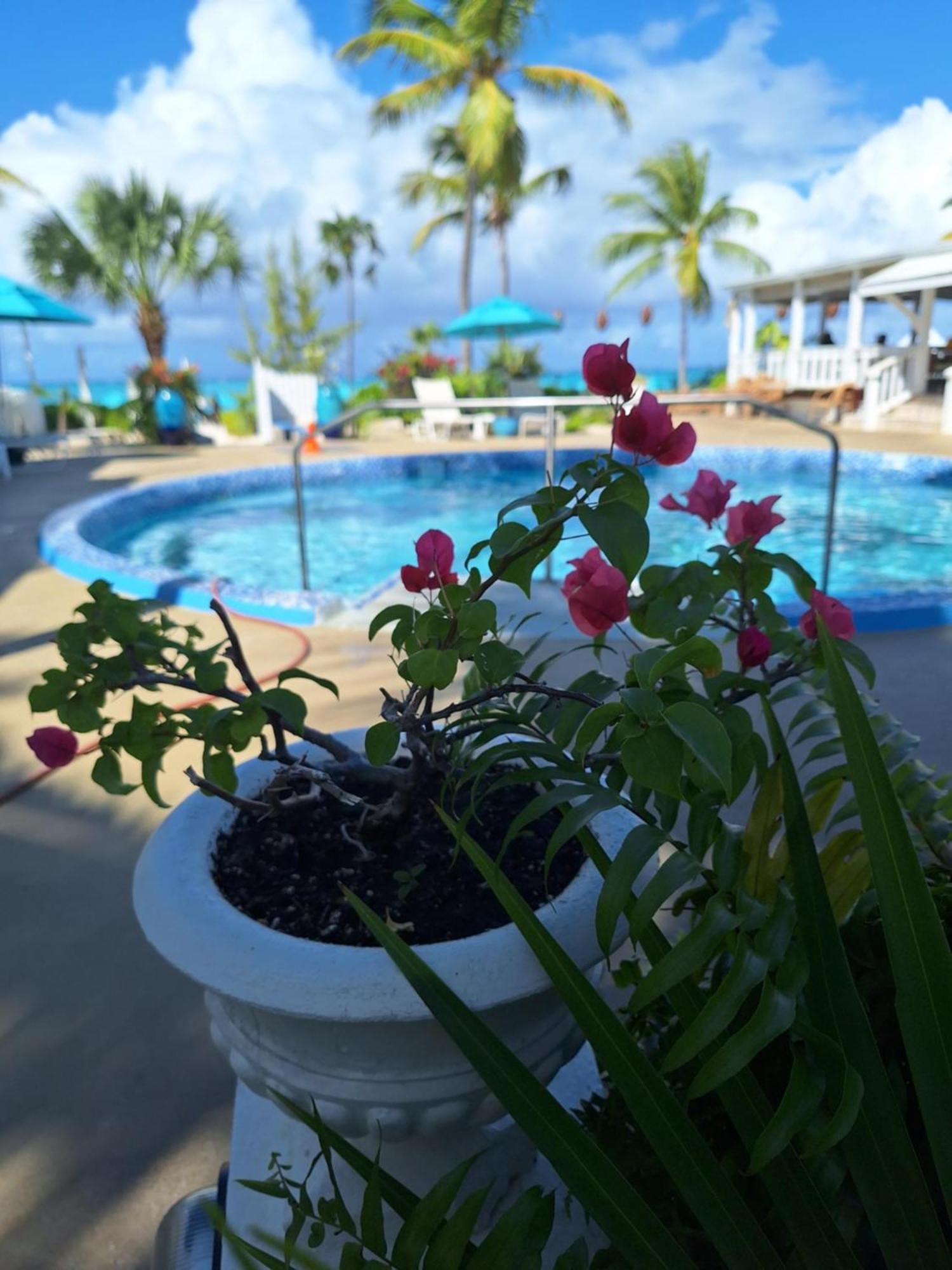 Sibonne Beach Hotel Grace Bay Extérieur photo
