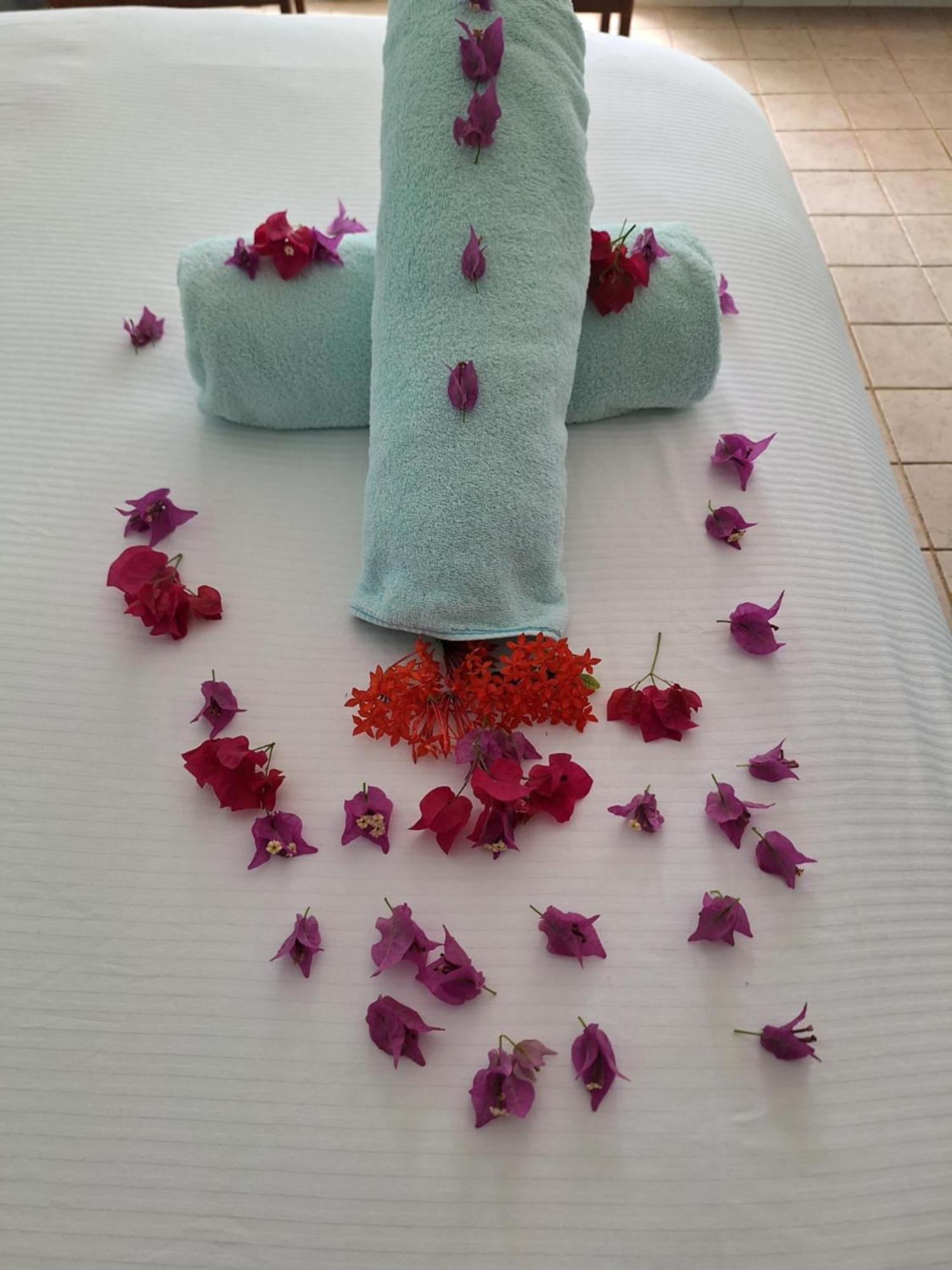 Sibonne Beach Hotel Grace Bay Extérieur photo